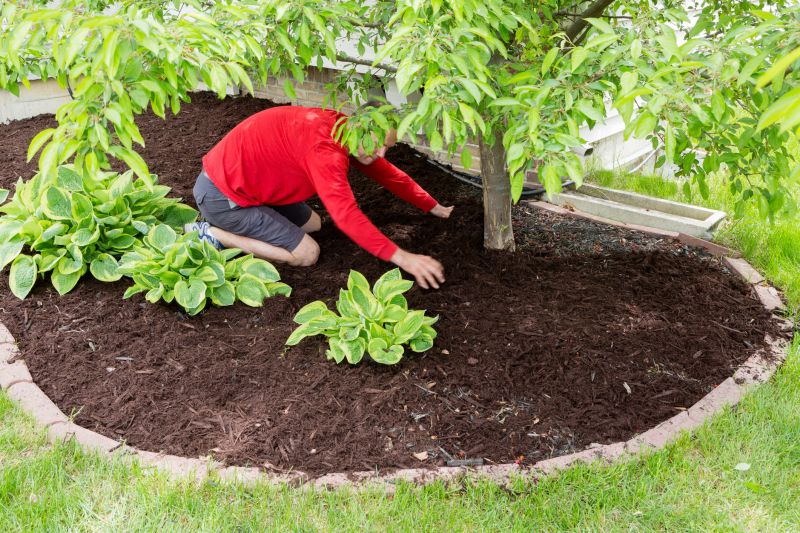 Black Mulch Installation in Ventura County, CA