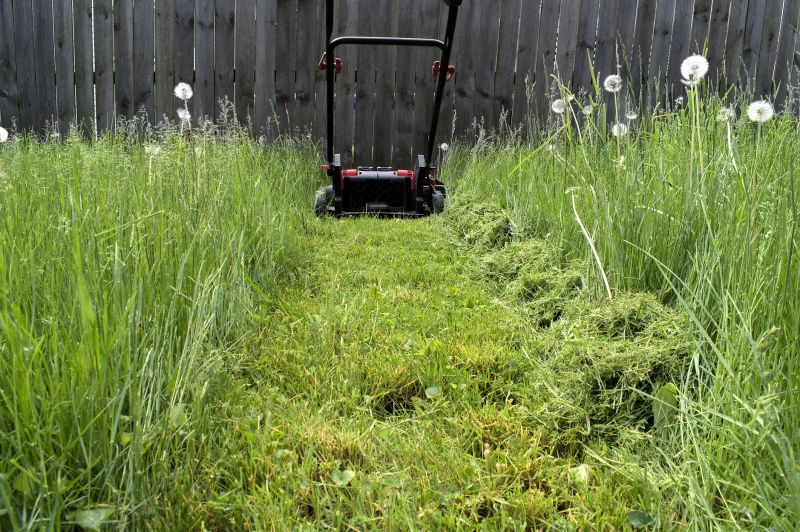 Overgrown Grass Trimming
