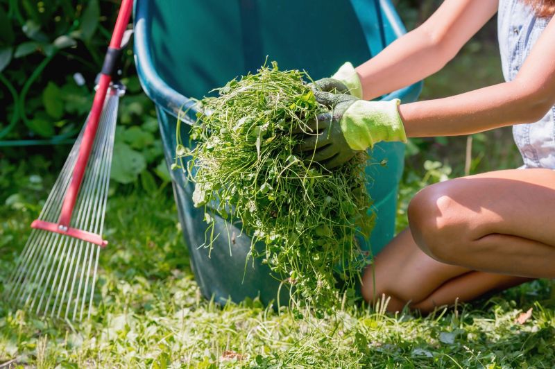 Garden Care Service in Honolulu, HI