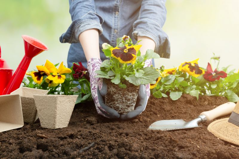Gardening Service in Honolulu, HI