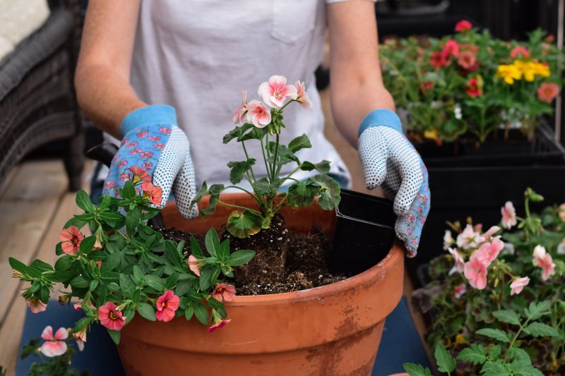 Perennials Planting in Ventura County, CA