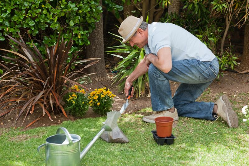 Products For Backyard Beautifications in use
