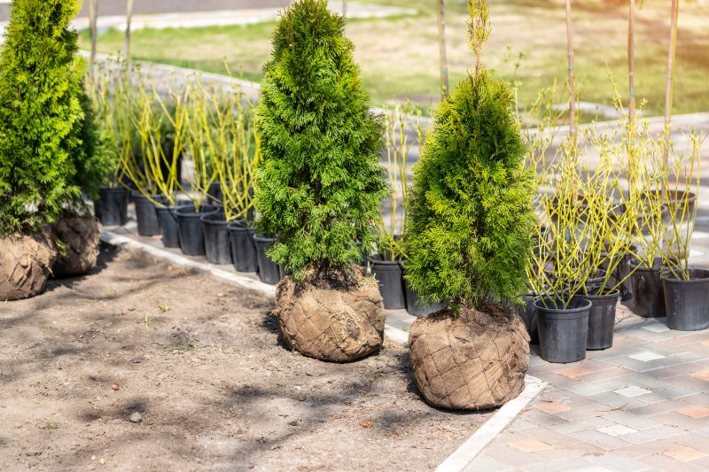 Shrub Planting Service in Honolulu, HI