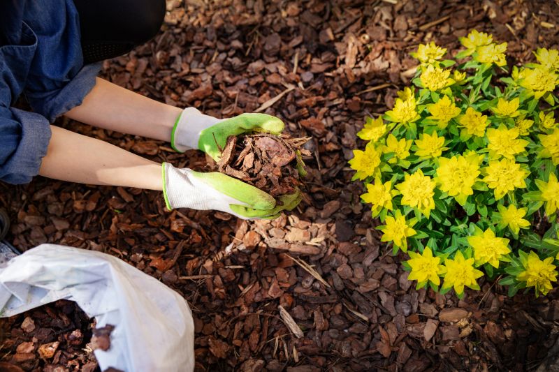 Weeding And Mulching in Ventura County, CA